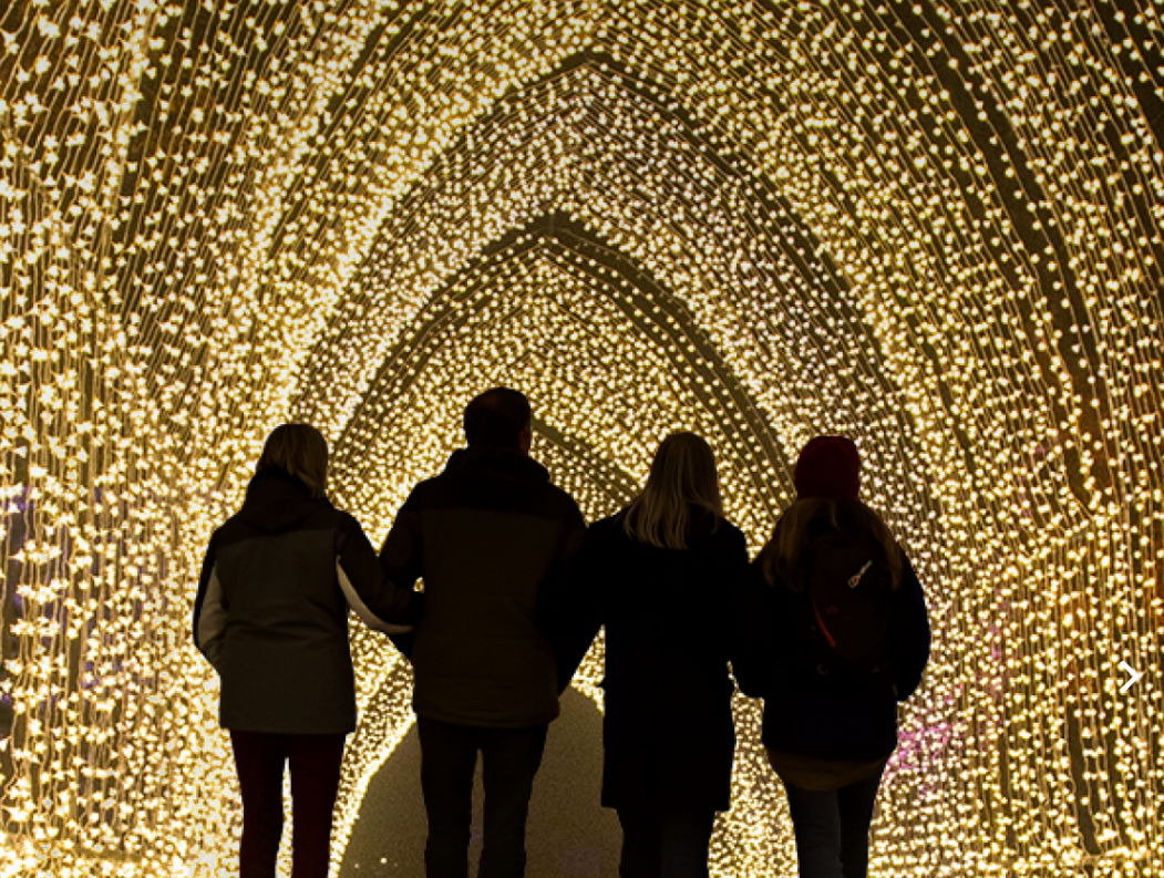 The wondrous lights of Blenheim Palace’s illuminated trail